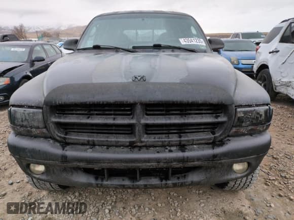✅ 2000 Dodge Dakota Sport • VIN: 1B7GG2AN1YS698330 • Lot: 43541235. Wystawiony na Copart z przebiegiem 160 505 mil. Bezpłatny archiwum sprzedaży aukcyjnych z USA i szczegółowy raport historii pojazdu na DreamBid. Zdjęcie 5.