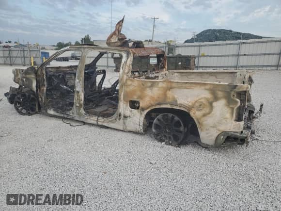 2023 Chevrolet Silverado 1500 LTZ with VIN 2GCUDGED4P1113295, listed as a Copart auction lot 80480975 with Not provided miles and Salvage title. Bid and sale history available at DreamBid. Image 2.