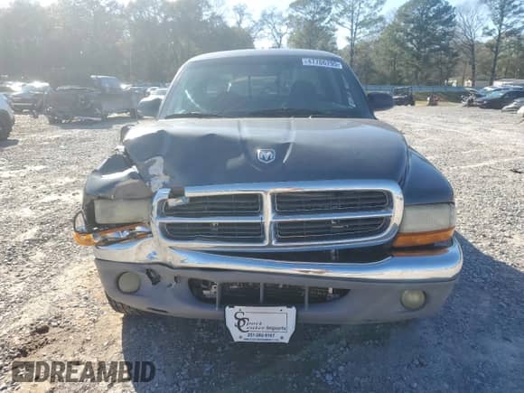 2003 Dodge Dakota SLT with VIN 1D7HL42X13S367631, listed as a Copart auction lot 47706795 with 202,616 mi miles and Salvage title. Bid and sale history available at DreamBid. Image 5.