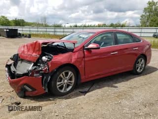✅ 2019 Hyundai Sonata Sport • VIN: 5NPE34AF2KH811229 • Lot: 68848985. Listed on Copart with 115,521 mi. Free auction sales archive from the USA and detailed vehicle history report at DreamBid. Image 1.