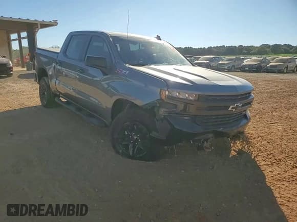 ✅ 2020 Chevrolet Silverado 1500 LT Trail Boss • VIN: 3GCPYFED8LG423527 • Lot: 76617514. Wystawiony na Copart z przebiegiem 33 896 mil. Bezpłatny archiwum sprzedaży aukcyjnych z USA i szczegółowy raport historii pojazdu na DreamBid. Zdjęcie 11.