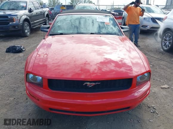 ✅ 2007 Ford Mustang Deluxe • VIN: 1ZVFT84N475327923 • Lot: 43441133. Listed on IAAI with 86,635 mi. Free auction sales archive from the USA and detailed vehicle history report at DreamBid. Image 12.