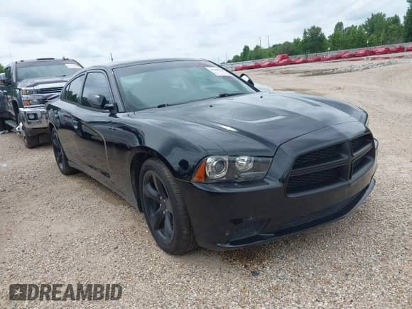 ✅ 2014 Dodge Charger RT • VIN: 2C3CDXCT2EH279653 • Lot: 42288528. Listed on IAAI with 167,378 mi. Free auction sales archive from the USA and detailed vehicle history report at DreamBid. Image 1.