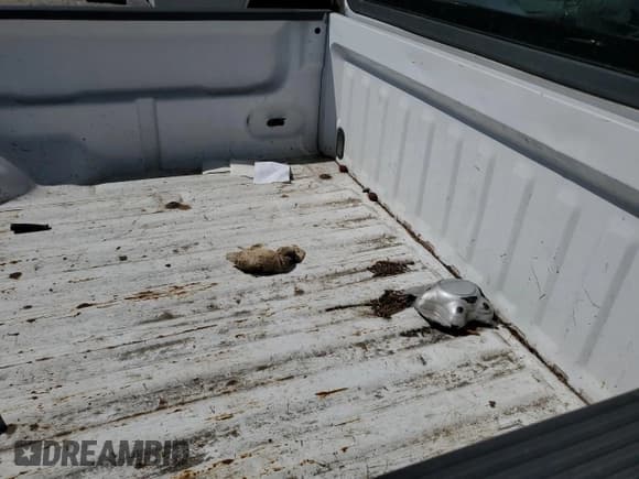 ✅ 2001 Ford F-150 XL • VIN: 2FTZF17291CA19255 • Лот: 68973745. Опубликован ранее на Copart с пробегом Не указан. Бесплатный доступ к архиву аукционных продаж из США и подробный отчёт об истории автомобиля на DreamBid. Изображение 10.