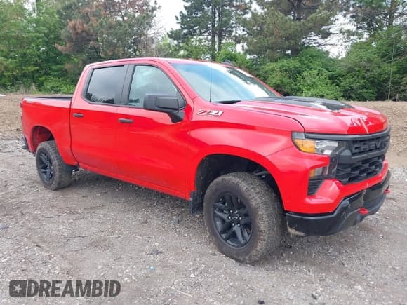 ✅ 2023 Chevrolet Silverado 1500 Custom Trail Boss • VIN: 3GCPDCEK3PG202089 • Lot: 42170434. Wystawiony na IAAI z przebiegiem 55 542 mil. Bezpłatny archiwum sprzedaży aukcyjnych z USA i szczegółowy raport historii pojazdu na DreamBid. Zdjęcie 1.