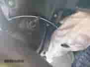 2024 Subaru Impreza с VIN JF1GUABC8R8353025, выставлен на аукционе IAAI как лот 43107861 с пробегом Не указан миль и . История ставок и продаж доступна на DreamBid. Изображение 11.