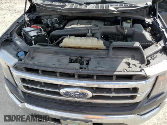 ✅ 2022 Ford F-150 Platinum • VIN: 1FTFW1E81NFC28168 • Lot: 86423555. Wystawiony na Copart z przebiegiem 155 340 mil. Bezpłatny archiwum sprzedaży aukcyjnych z USA i szczegółowy raport historii pojazdu na DreamBid. Zdjęcie 11.