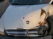 ✅ 2004 Dodge Dakota Sport • VIN: 1D7HL38K74S663700 • Lot: 86971564. Wystawiony na Copart z przebiegiem Nie podano. Bezpłatny archiwum sprzedaży aukcyjnych z USA i szczegółowy raport historii pojazdu na DreamBid. Zdjęcie 11.