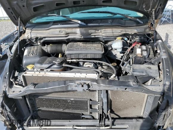 ✅ 2002 Dodge 1500 • VIN: 1D7HA18N62J156701 • Лот: 62337644. Опубликован ранее на Copart с пробегом 186 230 миль. Бесплатный доступ к архиву аукционных продаж из США и подробный отчёт об истории автомобиля на DreamBid. Изображение 12.