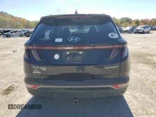 ✅ 2022 Hyundai Tucson Blue • VIN: KM8JBCA19NU025059 • Lot: 76804524. Wystawiony na Copart z przebiegiem 98 972 mil. Bezpłatny archiwum sprzedaży aukcyjnych z USA i szczegółowy raport historii pojazdu na DreamBid. Zdjęcie 6.