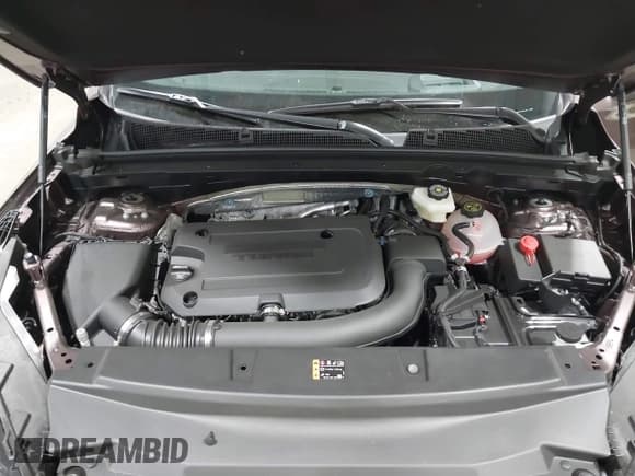 ✅ 2025 Buick Envision Preferred • VIN: LRBFZKE46SD014907 • Lot: 42587323. Listed on IAAI with 942 mi. Free auction sales archive from the USA and detailed vehicle history report at DreamBid. Image 10.