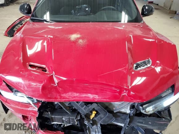 ✅ 2024 Dodge Hornet R/T Plus • VIN: ZACPDFDWXR3A09761 • Lot: 48555035. Listed on Copart with 26,549 mi. Free auction sales archive from the USA and detailed vehicle history report at DreamBid. Image 12.