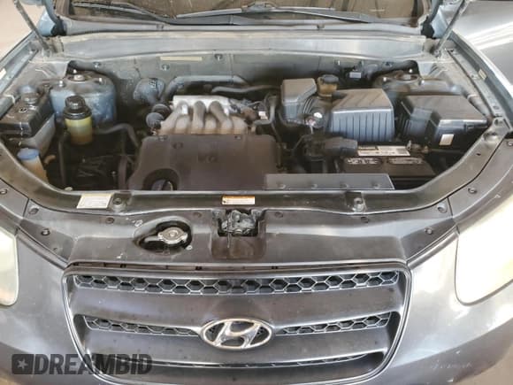 ✅ 2009 Hyundai Santa Fe GLS • VIN: 5NMSG13D69H313673 • Lot: 89218775. Listed on Copart with 184,720 mi. Free auction sales archive from the USA and detailed vehicle history report at DreamBid. Image 12.