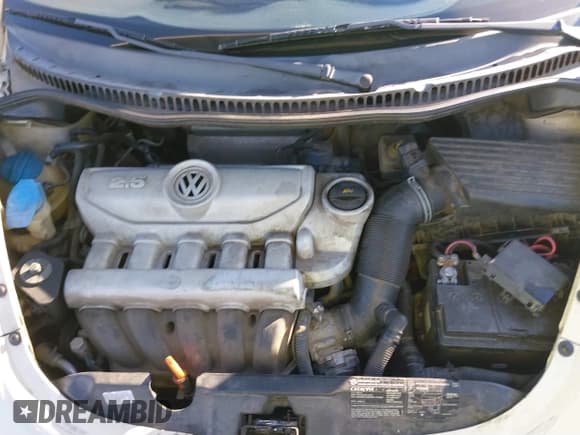 ✅ 2006 Volkswagen Beetle • VIN: 3VWPF31Y16M320269 • Lot: 41027071. Listed on IAAI with 188,238 mi. Free auction sales archive from the USA and detailed vehicle history report at DreamBid. Image 10.