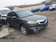 ✅ 2010 Acura RDX • VIN: 5J8TB1H20AA007692 • Lot: 43770497. Listed on IAAI with 106,090 mi. Free auction sales archive from the USA and detailed vehicle history report at DreamBid. Image 1.