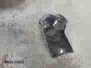 2019 Toyota Camry LE with VIN JTNB11HK0K3080138, listed as a IAAI auction lot 43236866 with 98,032 mi miles and . Bid and sale history available at DreamBid. Image 12.