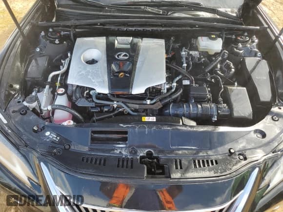 ✅ 2021 Lexus ES 300h Ultra Luxury • VIN: 58AFA1C10MU008796 • Лот: 74663074. Опубликован ранее на Copart с пробегом Не указан. Бесплатный доступ к архиву аукционных продаж из США и подробный отчёт об истории автомобиля на DreamBid. Изображение 11.