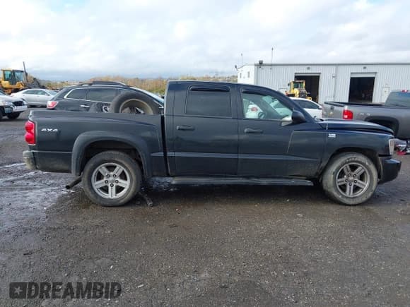 ✅ 2009 Dodge Dakota Bighorn/Lonestar • VIN: 1D7HW38P39S775050 • Lot: 43567558. Wystawiony na IAAI z przebiegiem 193 516 mil. Bezpłatny archiwum sprzedaży aukcyjnych z USA i szczegółowy raport historii pojazdu na DreamBid. Zdjęcie 14.