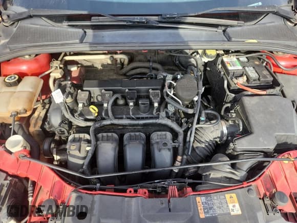 ✅ 2016 Ford Focus SE • VIN: 1FADP3K28GL290418 • Lot: 92499515. Listed on Copart with 219,833 mi. Free auction sales archive from the USA and detailed vehicle history report at DreamBid. Image 11.