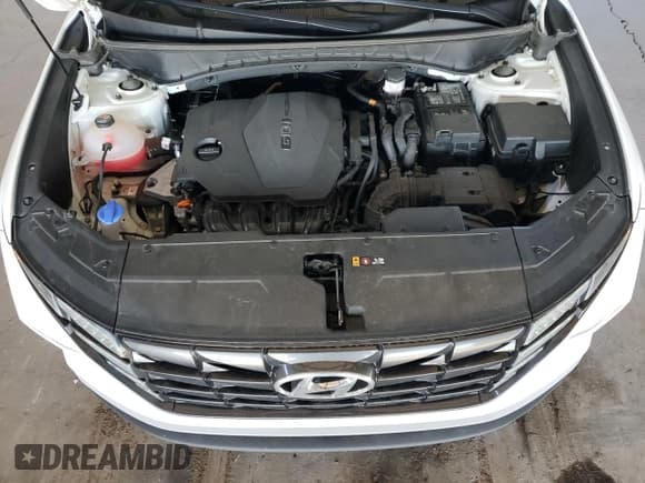 ✅ 2022 Hyundai Tucson SE • VIN: 5NMJACAE0NH022391 • Lot: 42321834. Wystawiony na Copart z przebiegiem 74 250 mil. Bezpłatny archiwum sprzedaży aukcyjnych z USA i szczegółowy raport historii pojazdu na DreamBid. Zdjęcie 11.