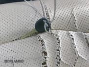 ✅ 2001 Chevrolet Suburban LS • VIN: 3GNFK16T31G259260 • Лот: 42525896. Опубликован ранее на IAAI с пробегом 272 052 миль. Бесплатный доступ к архиву аукционных продаж из США и подробный отчёт об истории автомобиля на DreamBid. Изображение 11.