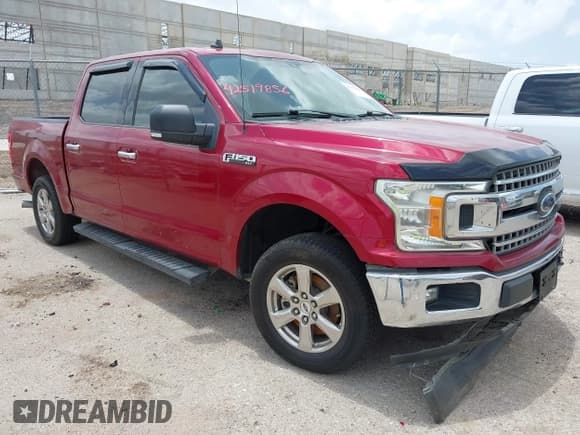 ✅ 2019 Ford F-150 XL • VIN: 1FTEW1CP5KKE90218 • Лот: 42519856. Опубликован ранее на IAAI с пробегом 147 442 миль. Бесплатный доступ к архиву аукционных продаж из США и подробный отчёт об истории автомобиля на DreamBid. Изображение 1.