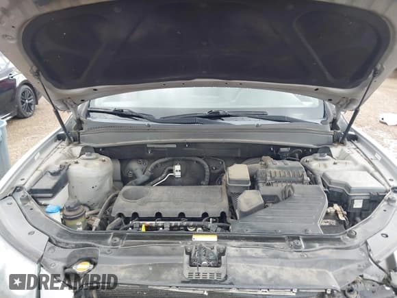 ✅ 2010 Hyundai Santa Fe GLS • VIN: 5NMSG3AB3AH384296 • Лот: 43223357. Опубликован ранее на IAAI с пробегом 160 962 миль. Бесплатный доступ к архиву аукционных продаж из США и подробный отчёт об истории автомобиля на DreamBid. Изображение 10.