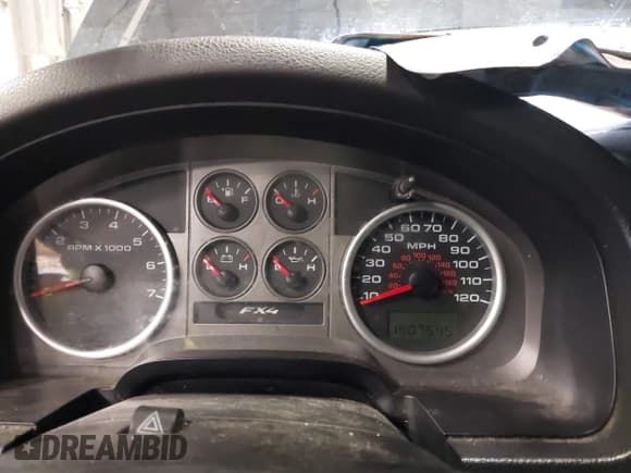 ✅ 2010 Ford F-150 XL • VIN: 1FTEX1E89AKE05852 • Lot: 43873165. Wystawiony na IAAI z przebiegiem 190 754 mil. Bezpłatny archiwum sprzedaży aukcyjnych z USA i szczegółowy raport historii pojazdu na DreamBid. Zdjęcie 7.