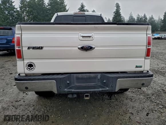 ✅ 2010 Ford F-150 XL • VIN: 1FTFW1EV3AFC07306 • Lot: 94378415. Listed on Copart with 114,018 mi. Free auction sales archive from the USA and detailed vehicle history report at DreamBid. Image 6.