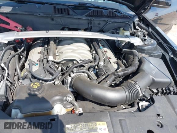 ✅ 2014 Ford Mustang GT • VIN: 1ZVBP8CF6E5282977 • Lot: 42096045. Listed on IAAI with 100,477 mi. Free auction sales archive from the USA and detailed vehicle history report at DreamBid. Image 10.