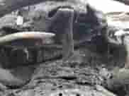 ✅ 2019 Chevrolet Malibu LT • VIN: 1G1ZD5ST4KF173416 • Lot: 81830195. Wystawiony na Copart z przebiegiem Nie podano mil. Skorzystaj z bezpłatnego archiwum sprzedaży aukcyjnych z USA i zobacz szczegółowy raport historii pojazdu na DreamBid. Zdjęcie 9.