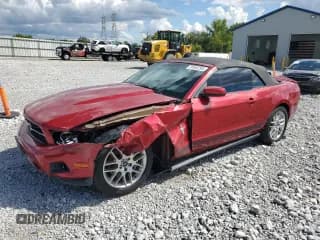 ✅ 2012 Ford Mustang V6 • VIN: 1ZVBP8EM7C5260284 • Lot: 86808435. Listed on Copart with 40,833 mi. Free auction sales archive from the USA and detailed vehicle history report at DreamBid. Image 1.