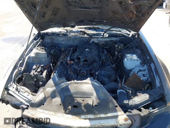 ✅ 2008 Ford Mustang GT Deluxe • VIN: 1ZVHT82H885101553 • Lot: 43214603. Listed on IAAI with Not provided. Free auction sales archive from the USA and detailed vehicle history report at DreamBid. Image 10.