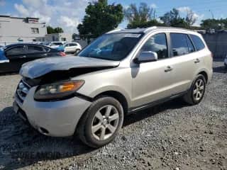 2007 Hyundai Santa Fe SE with VIN 5NMSH13E17H079817, listed as a Copart auction lot 85709465 with 281,245 mi miles and Salvage title. Bid and sale history available at DreamBid. Image 1.