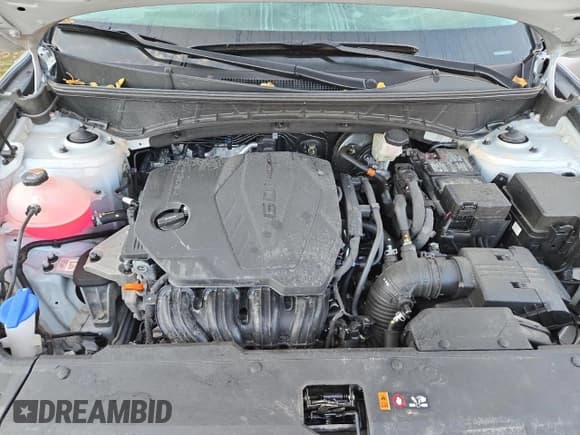 ✅ 2025 Hyundai Tucson SEL • VIN: 5NMJBCDE7SH441908 • Lot: 81630305. Wystawiony na Copart z przebiegiem 13 942 mil. Bezpłatny archiwum sprzedaży aukcyjnych z USA i szczegółowy raport historii pojazdu na DreamBid. Zdjęcie 12.