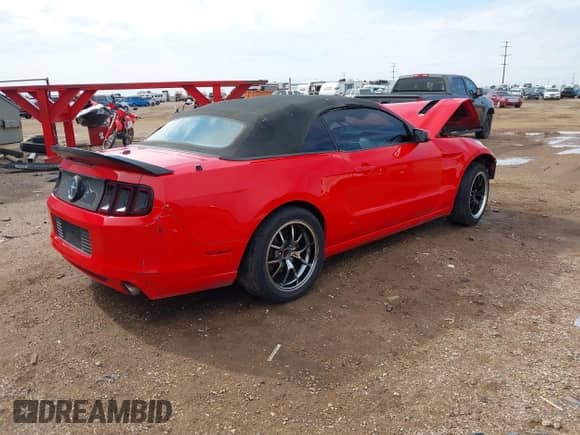 2014 Ford Mustang V6 с VIN 1ZVBP8EMXE5245569, выставлен на аукционе IAAI как лот 43398061 с пробегом Не указан миль и . История ставок и продаж доступна на DreamBid. Изображение 4.