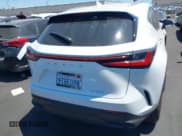 ✅ 2025 Lexus NX 250 • VIN: 2T2ADCAZ1SC025730 • Lot: 42605987. Wystawiony na IAAI z przebiegiem 697 mil. Bezpłatny archiwum sprzedaży aukcyjnych z USA i szczegółowy raport historii pojazdu na DreamBid. Zdjęcie 17.