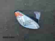 2010 Hyundai Accent GS z VIN KMHCM3AC1AU166934, wystawiony jako Copart lot #78869764 z przebiegiem 86 288 mil mil oraz Szkoda całkowita • Salvage title. Historia ofert i sprzedaży dostępna na DreamBid. Obrazek 12.