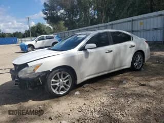 ✅ 2010 Nissan Maxima SV • VIN: 1N4AA5APXAC849603 • Lot: 85493135. Wystawiony na Copart z przebiegiem 166 976 mil. Bezpłatny archiwum sprzedaży aukcyjnych z USA i szczegółowy raport historii pojazdu na DreamBid. Zdjęcie 1.