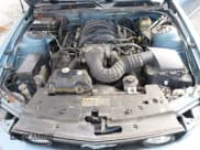 ✅ 2006 Ford Mustang GT Deluxe • VIN: 1ZVHT82H465228409 • Lot: 43337448. Wystawiony na IAAI z przebiegiem 196 538 mil. Bezpłatny archiwum sprzedaży aukcyjnych z USA i szczegółowy raport historii pojazdu na DreamBid. Zdjęcie 10.