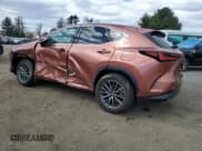 ✅ 2025 Lexus NX 350 • VIN: 2T2AGCEZ0SC065105 • Lot: 50727115. Wystawiony na Copart z przebiegiem 5 389 mil. Bezpłatny archiwum sprzedaży aukcyjnych z USA i szczegółowy raport historii pojazdu na DreamBid. Zdjęcie 2.
