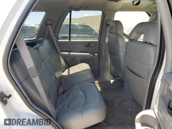 1997 Chevrolet Blazer LS z VIN 1GNDT13W2V2201660, wystawiony jako Copart lot #51158594 z przebiegiem 172 077 mil mil oraz Szkoda całkowita • Salvage title. Historia ofert i sprzedaży dostępna na DreamBid. Obrazek 10.