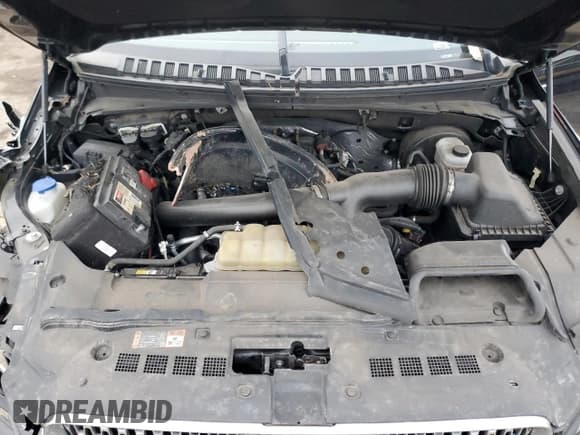 ✅ 2021 Lincoln Navigator Black Label • VIN: 5LMJJ3TT1MEL03959 • Лот: 43876275. Опубликован ранее на Copart с пробегом Не указан. Бесплатный доступ к архиву аукционных продаж из США и подробный отчёт об истории автомобиля на DreamBid. Изображение 12.