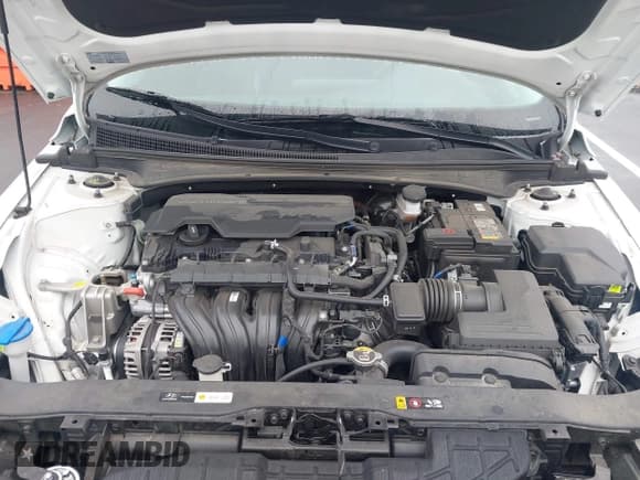 ✅ 2024 Hyundai Elantra SEL • VIN: KMHLM4DG1RU734907 • Lot: 43570336. Listed on IAAI with 42,953 mi. Free auction sales archive from the USA and detailed vehicle history report at DreamBid. Image 10.