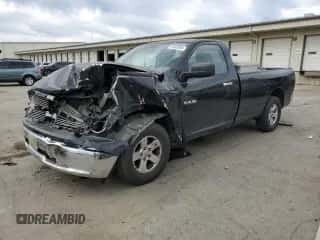2009 Dodge 1500 SLT z VIN 1D3HB16P49J516352, wystawiony jako Copart lot #41582694 z przebiegiem Nie podano mil oraz Nie do naprawy • Non repairable. Historia ofert i sprzedaży dostępna na DreamBid. Obrazek 1.