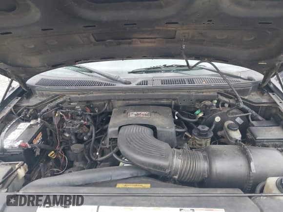 ✅ 1997 Ford F-150 • VIN: 1FTEX08L1VKC07864 • Lot: 42210582. Wystawiony na IAAI z przebiegiem 181 360 mil. Bezpłatny archiwum sprzedaży aukcyjnych z USA i szczegółowy raport historii pojazdu na DreamBid. Zdjęcie 10.