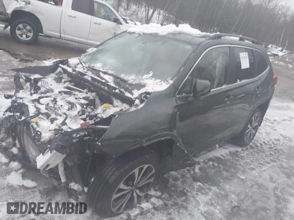 ✅ 2022 Subaru Forester Limited • VIN: JF2SKAPC0NH524462 • Lot: 41581584. Listed on IAAI with Not provided. Free auction sales archive from the USA and detailed vehicle history report at DreamBid. Image 13.