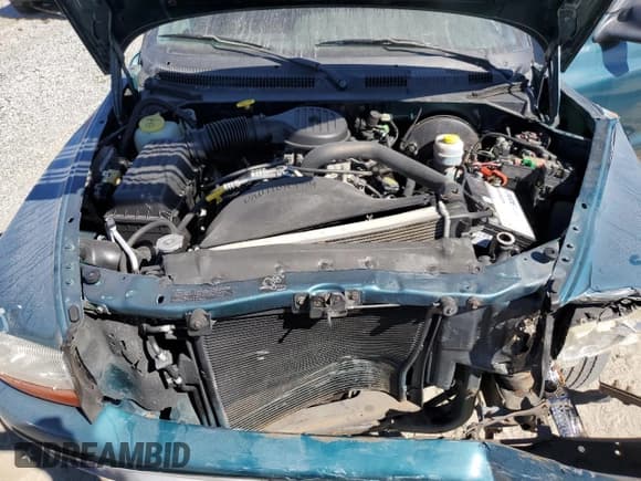 ✅ 1998 Dodge Dakota SLT • VIN: 1B7GL22XXWS571049 • Lot: 75878644. Wystawiony na Copart z przebiegiem Nie podano. Bezpłatny archiwum sprzedaży aukcyjnych z USA i szczegółowy raport historii pojazdu na DreamBid. Zdjęcie 12.