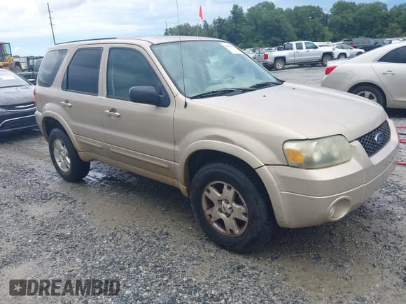 ✅ 2007 Ford Escape Limited • VIN: 1FMYU04147KB91409 • Лот: 42896072. Опубликован ранее на IAAI с пробегом 171 642 миль. Бесплатный доступ к архиву аукционных продаж из США и подробный отчёт об истории автомобиля на DreamBid. Изображение 1.