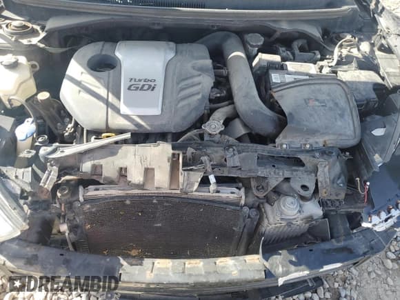 ✅ 2016 Hyundai Veloster Turbo • VIN: KMHTC6AE6GU262895 • Lot: 77368234. Wystawiony na Copart z przebiegiem 94 696 mil. Bezpłatny archiwum sprzedaży aukcyjnych z USA i szczegółowy raport historii pojazdu na DreamBid. Zdjęcie 12.